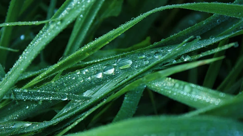 如何在篮球训练中有效运用激励手段_0